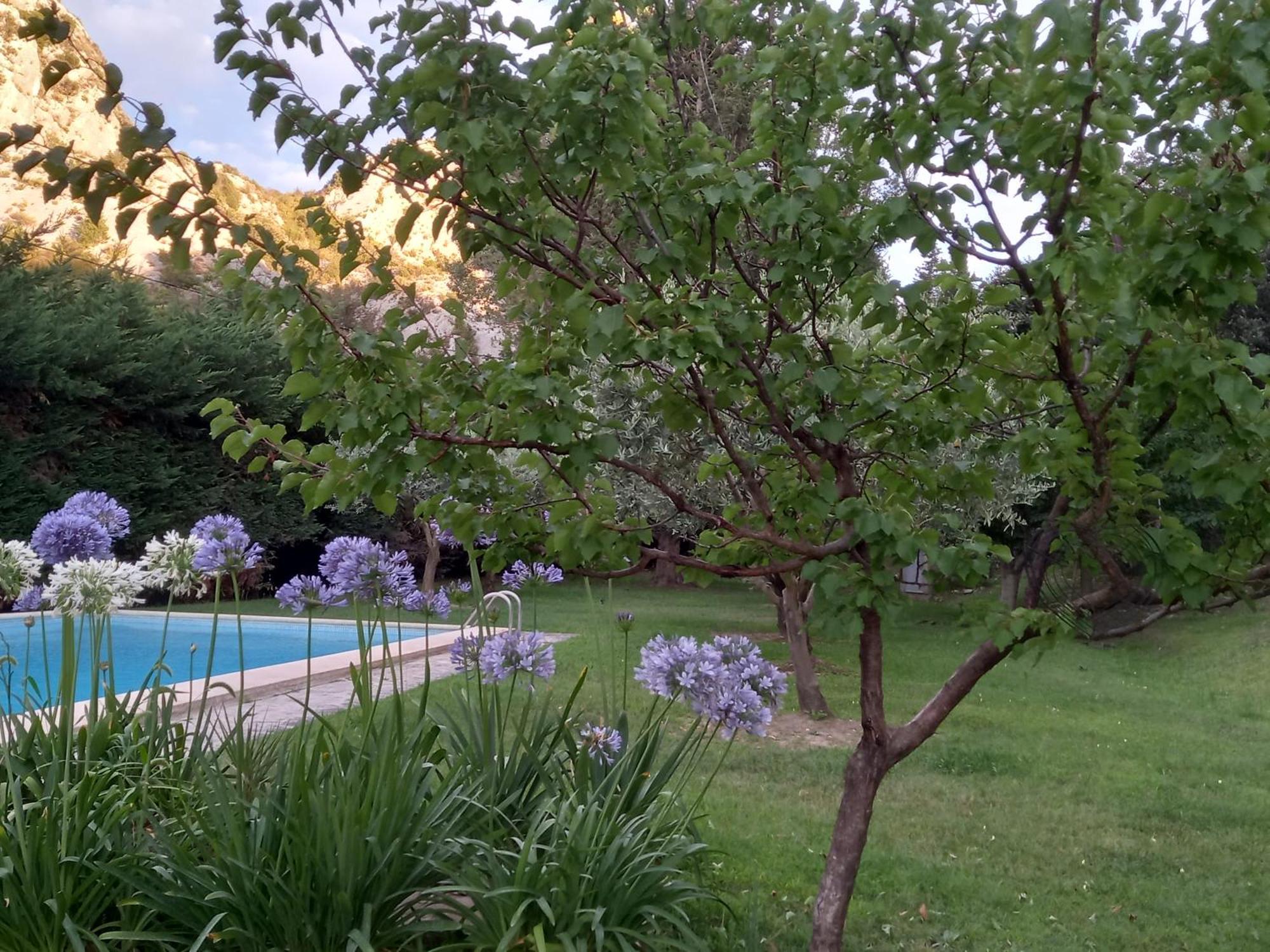 La Roulotte Du Petit Paradis Saint-Rémy-de-Provence Exteriér fotografie